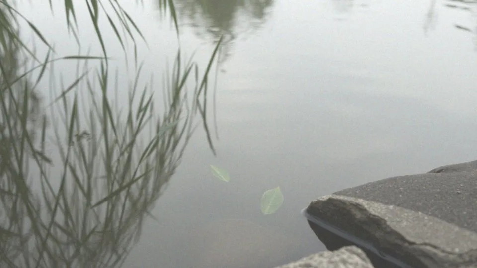 Jakie preparaty pielęgnacyjne stosuje się w oczkach wodnych?