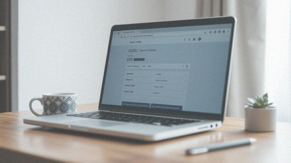 Jak sprawdzić dane rejestrowe sklepu internetowego?