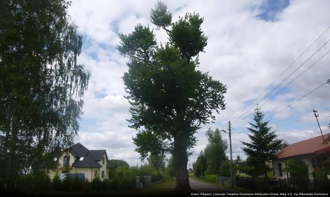 Nabór wniosków do projektu „Lubelskie bez azbestu” rozpoczęty