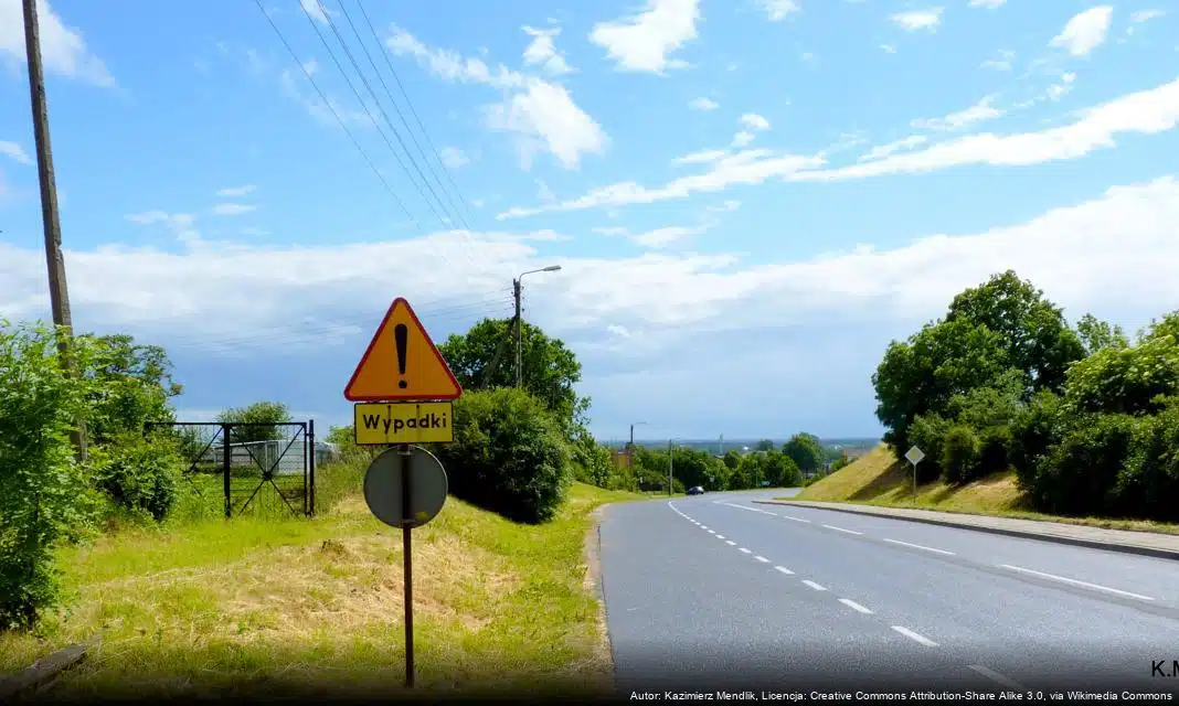 Wprowadzenie programu „Opieka 75+” na rok 2025 w gminie Ryki