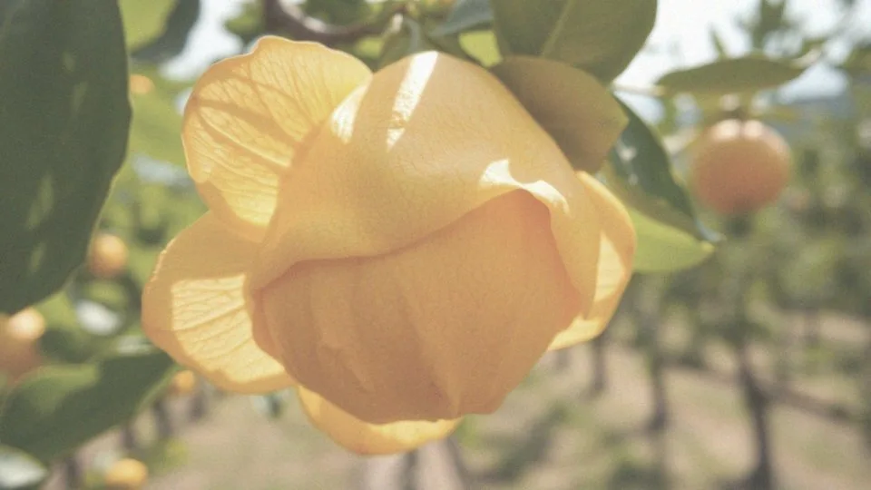 Zmarszczki mimiczne od uśmiechu – jak zapobiegać ich powstawaniu?